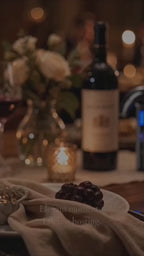 Rechargeable Electric Wine Aerator & Pourer – one-touch pouring demonstration